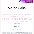 Powiększ obraz: certificate 3