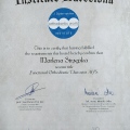 Powiększ obraz: certificate 22