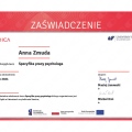 Powiększ obraz: certificate 2