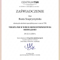 Powiększ obraz: certificate 5