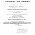 Powiększ obraz: certificate 3
