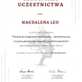 Powiększ obraz: certificate 2