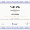 Powiększ obraz: certificate 5