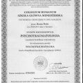 Powiększ obraz: certificate 3
