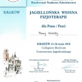 Powiększ obraz: certificate 10