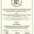 Powiększ obraz: certificate 1