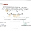 Powiększ obraz: certificate 2
