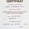 Powiększ obraz: certificate 12