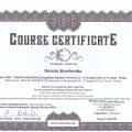 Powiększ obraz: certificate 8