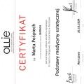 Powiększ obraz: certificate 5