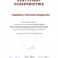 Powiększ obraz: certificate 10