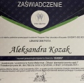 Powiększ obraz: certificate 17