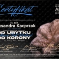 Powiększ obraz: certificate 4