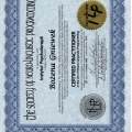 Powiększ obraz: certificate 3