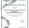 Powiększ obraz: certificate 13
