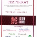 Powiększ obraz: certificate 2