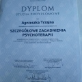 Powiększ obraz: certificate 2
