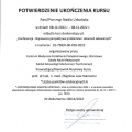 Powiększ obraz: certificate 7