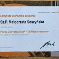 Powiększ obraz: certificate 13