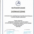 Powiększ obraz: certificate 2