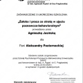 Powiększ obraz: certificate 2