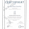 Powiększ obraz: certificate 1