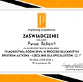 Powiększ obraz: certificate 6