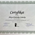 Powiększ obraz: certificate 15