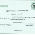 Powiększ obraz: certificate 7