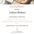 Powiększ obraz: certificate 163