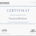 Powiększ obraz: certificate 1