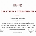 Powiększ obraz: certificate 9