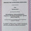 Powiększ obraz: certificate 5