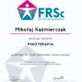 Powiększ obraz: certificate 2