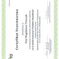 Powiększ obraz: certificate 16