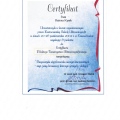 Powiększ obraz: certificate 8