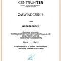 Powiększ obraz: certificate 3