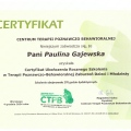Powiększ obraz: certificate 5