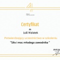 Powiększ obraz: certificate 3