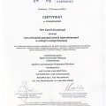 Powiększ obraz: certificate 1