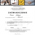 Powiększ obraz: certificate 8
