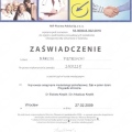 Powiększ obraz: certificate 98