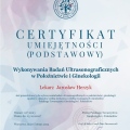 Powiększ obraz: certificate 13