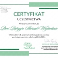 Powiększ obraz: certificate 1