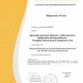 Powiększ obraz: certificate 1