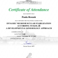 Powiększ obraz: certificate 6