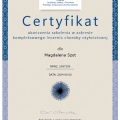 Powiększ obraz: certificate 1