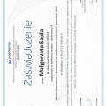 Powiększ obraz: certificate 1