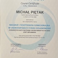 Powiększ obraz: certificate 6