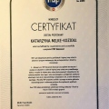 Powiększ obraz: certificate 6